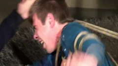 A homo Domination Clip To Have A joy!