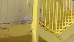 Muscle Jerk
