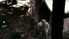 plowing twinks Disturbed By A "Bear"
