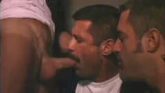 COPS LIKE oral TOO