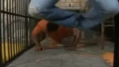 Four guys Wrestling And banging.