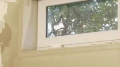 kinky twink teens get naked And slam After Painting