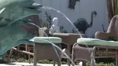 Come thellos guyre And Let Me suck you - Blue Alley manios