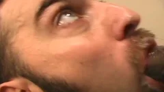 pull out Your penis And Start Jacking If u Love Watching penis Worshiping penis-suckers Doing What they like. Compilation Of gracious Horned Up Sucker