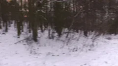 Czech Hunter: When Ski Slopes Get Dirty