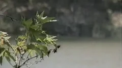 Ranger In The filthy Part1
