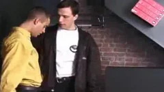 daybed blowjob