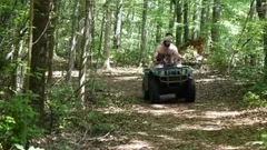 Bears In The Woods
