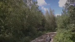 Into The Woods