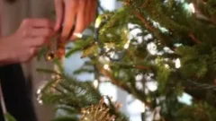 Muscle Son Flip Flop With cumshot