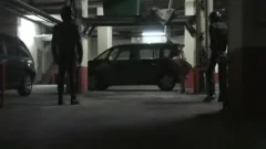 BB Pig In Garage
