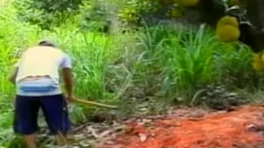 gay Outdoor chocolate hole enjoyment