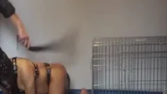 make waterpup Play!