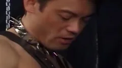 Tony Belemonte And Lee Casey receive homosexual In servitude Gear