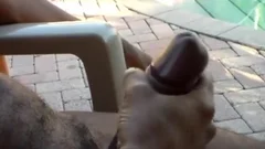 Bear rides a hard dick