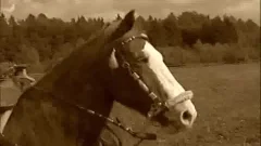 Hard Rider