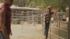 stud-horse With large dong In Rural Area