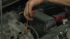Auto Fornication