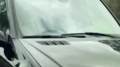 When you Leave The Nest