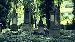 bound The lad From The Cemetery