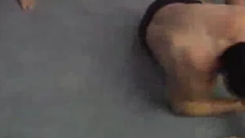 naughty Sledge Vs. Snake