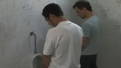 Argentinian males poke in a restroom