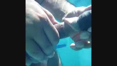 POOL sjuicyS