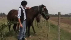 fuck BY COWmen