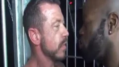 dark daddy pokes Whowdyte daddy