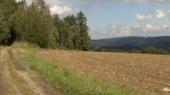 Muscle males fuck Outdoor