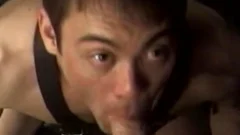 The harder they plow, the better you spooge