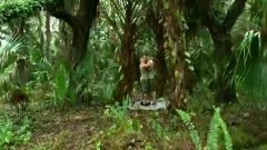 naughty poke In The Forest