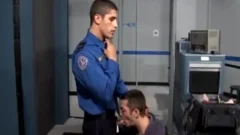 gay