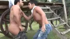 Brazilian nakedback Farm