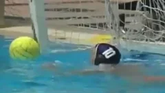 powerful Swimmers Have pleasure