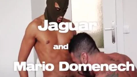 Jaguar nails Mario Domenech