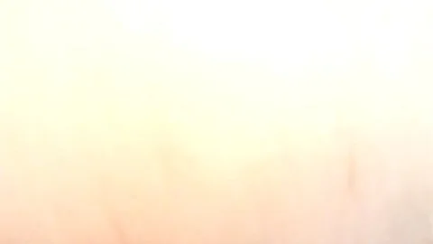 butt TO mouth undressed