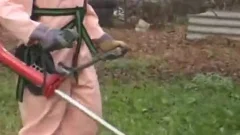 Getting facial in the garden