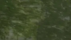 Out In The Open