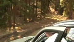Sex In Tthowdys guy Forest